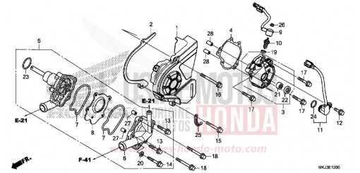 WASSERPUMPE CB1000RAK de 2019