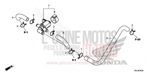 LUFTEINSPRITZ-STEUERVENTIL CB1000RAL de 2020