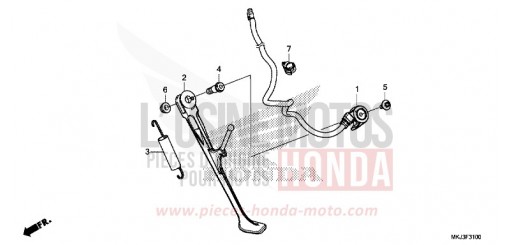 STAENDER CB1000RAL de 2020