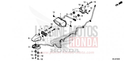 HECKLEUCHTE/KENNZEICHENBELEUCHTUNG CB1000RAL de 2020