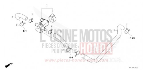 LUFTEINSPRITZ-STEUERVENTIL CB1000RAM de 2021