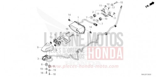 HECKLEUCHTE/KENNZEICHENBELEUCHTUNG CB1000RAM de 2021