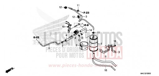 CUVETTE GL1800BDL de 2020