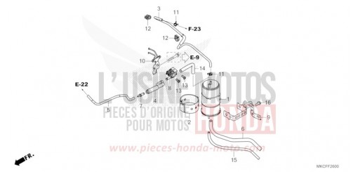 CUVETTE GL1800BDN de 2022