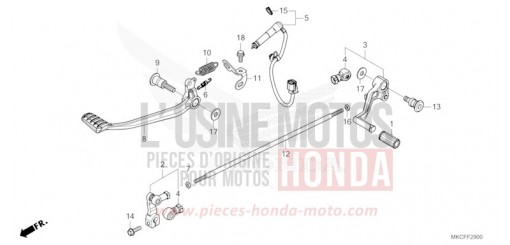 PEDALE GL1800BDN de 2022