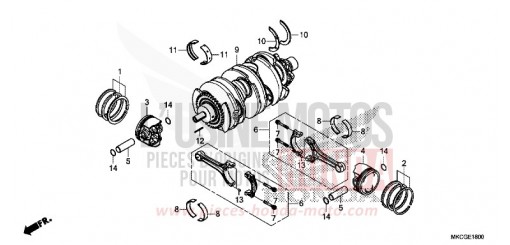 VILEBREQUIN/PISTON GL1800DAL de 2020