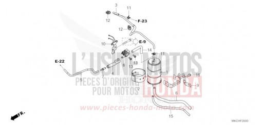 CUVETTE GL1800DAM de 2021