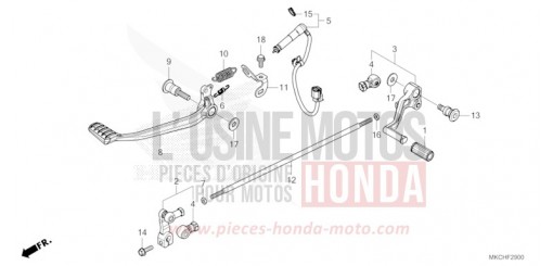 PEDALE GL1800DAM de 2021