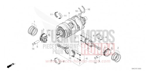 VILEBREQUIN/PISTON GL1800DAN de 2022