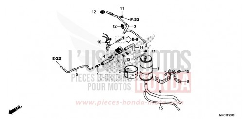 CUVETTE GL1800J de 2018