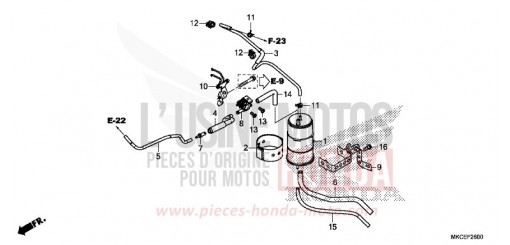 CUVETTE GL1800K de 2019