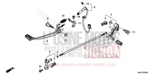PEDALE GL1800L de 2020