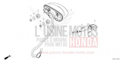 HECKLEUCHTE CBF125NAM de 2021