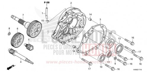 GETRIEBE NSS125ADN de 2022
