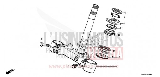 LENKSCHAFT VFR800XH de 2017
