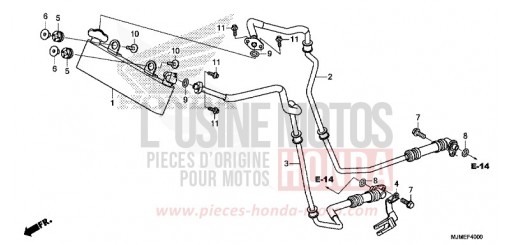 OELKUEHLER VFR800XH de 2017