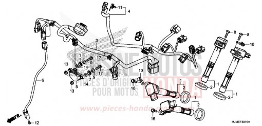HILFSKABELBAUM VFR800XH de 2017