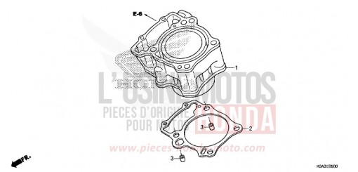 CYLINDRE CBF300NAJ de 2018