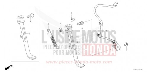 STAENDER Z125MAN de 2022