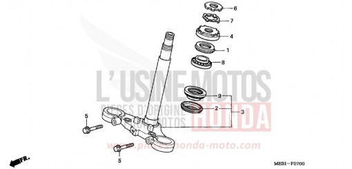 LENKSCHAFT CBF600NA4 de 2004
