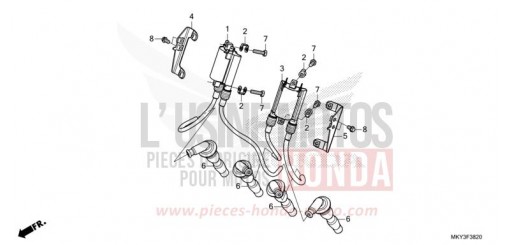 ZUENDSPULE CB650RAN de 2022