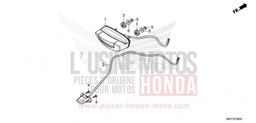 HECKLEUCHTE/KENNZEICHENBELEUCHTUNG CB650RAN de 2022