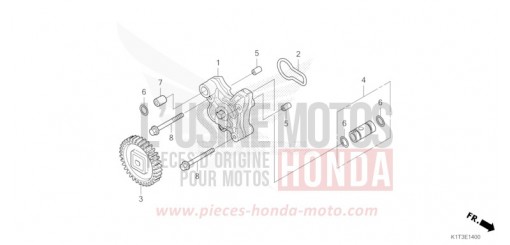 OELPUMPE CRF300LAM de 2021