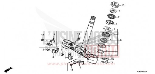 LENKSCHAFT MSX125G de 2016