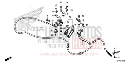 HANDBREMSHEBEL CRF1000D2K de 2019