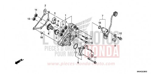 REDUZIERGETRIEBE NC750SDG de 2016