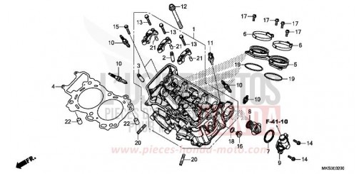 ZYLINDERKOPF CRF1100D4L de 2020
