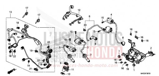 HILFSKABELBAUM/ZUENDSPULE CRF1100D4L de 2020