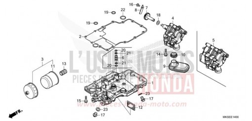 OELWANNE/OELPUMPE CRF1100DM de 2021
