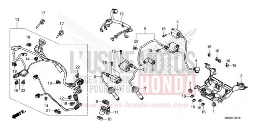 HILFSKABELBAUM/ZUENDSPULE CRF1100DM de 2021
