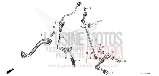 PEDAL CRF1100DN de 2022