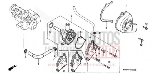 WASSERPUMPE CBR600FR1 de 2001