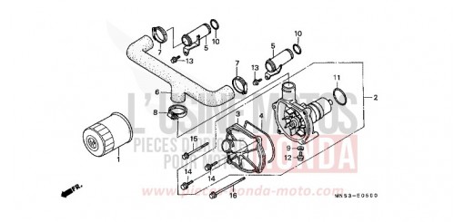 OELFILTER/WASSERPUMPE GL1500K de 1989