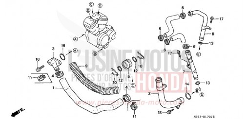 WASSERROHR NTV650P de 1993