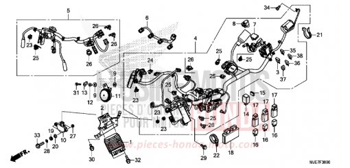 KABELBAUM CBR650FAJ de 2018