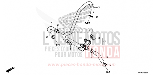 LUFTEINSPRITZ-STEUERVENTIL CBR650RAK de 2019
