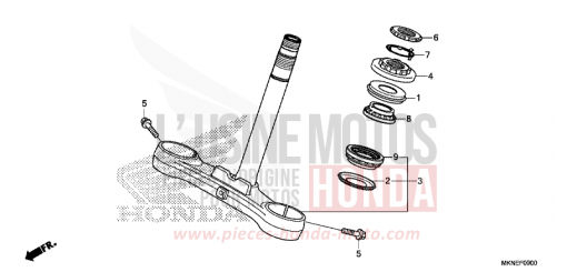 LENKSCHAFT CBR650RAK de 2019