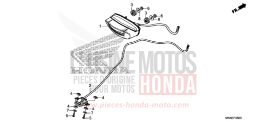 HECKLEUCHTE/KENNZEICHENBELEUCHTUNG CBR650RAK de 2019