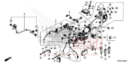 KABELBAUM CBR650RAK de 2019