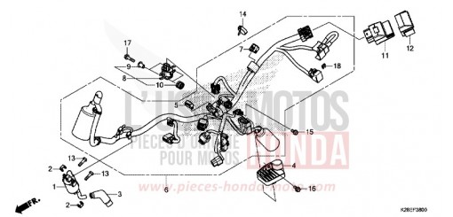 KABELBAUM CRF125FBN de 2022