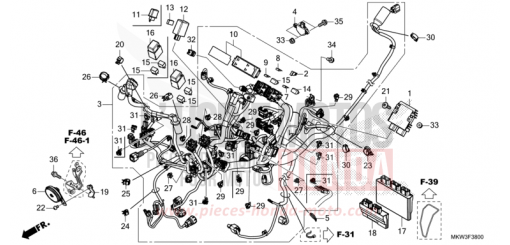 KABELBAUM NC750XAM de 2021