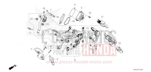 KABELBAUM CRF450RP de 2023