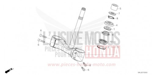 LENKSCHAFT CB1000RAP de 2023