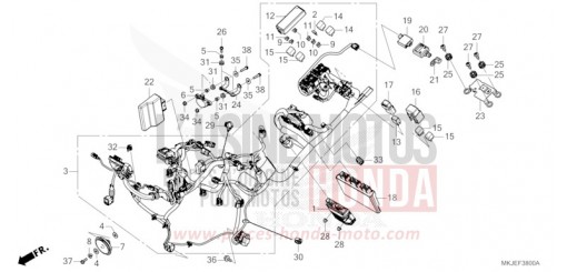 KABELBAUM CB1000RAP de 2023