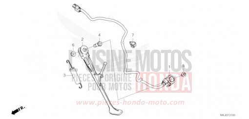 STAENDER CB1000RAP de 2023