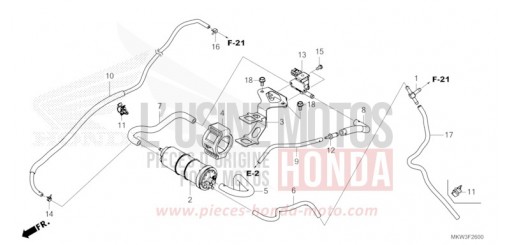 CUVETTE NC750XDP de 2023